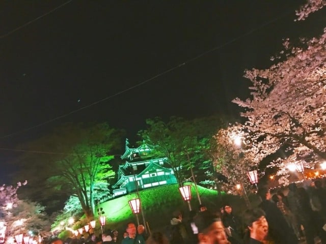 2019高田城夜桜